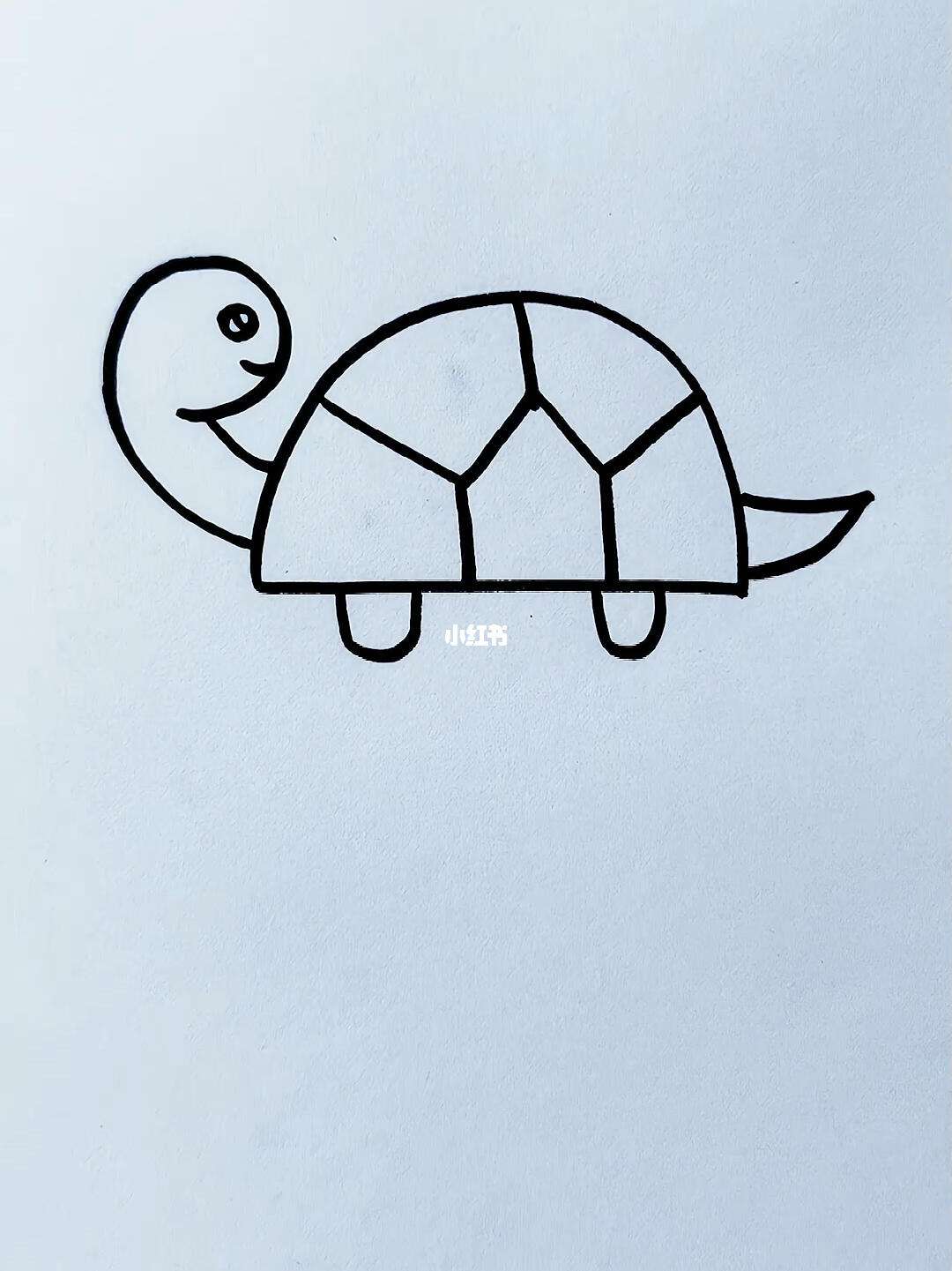 乌龟简笔画