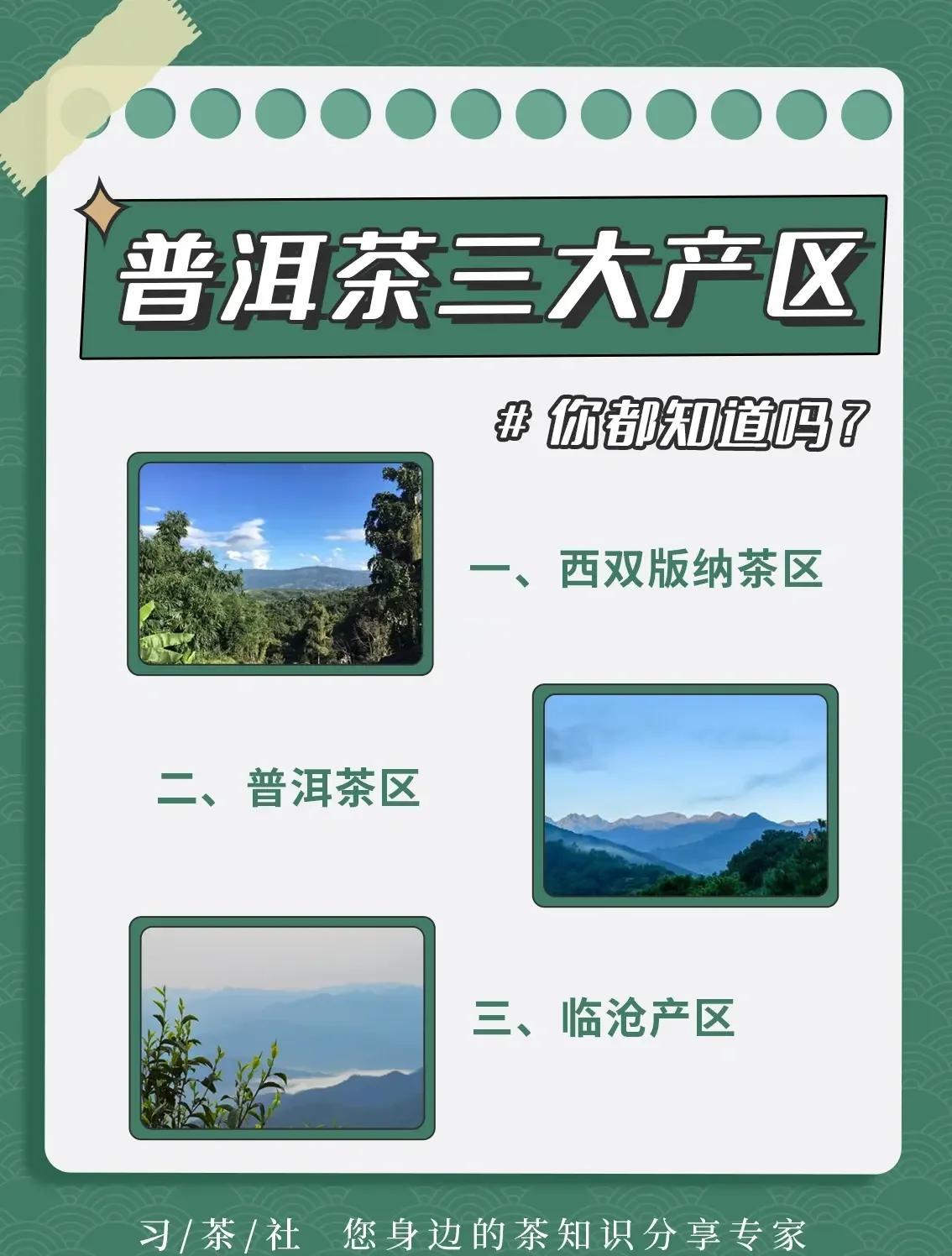 普尔茶介绍